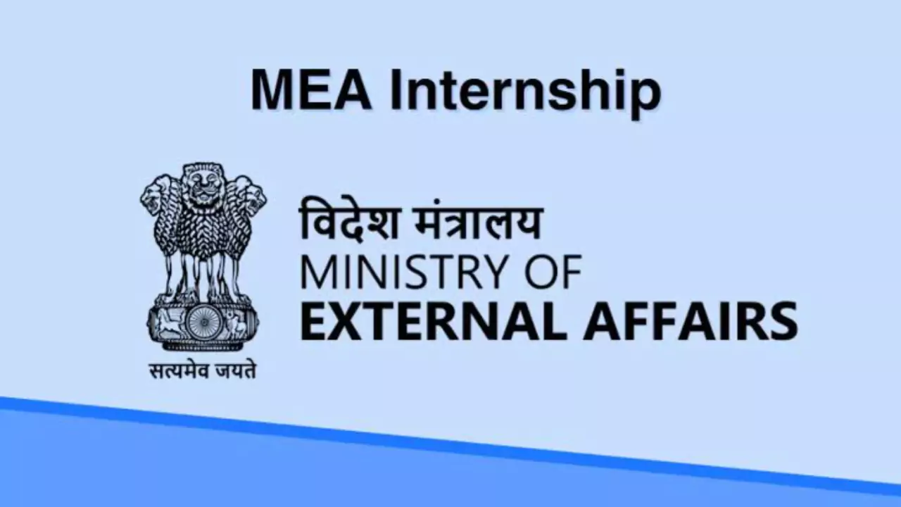 MEA Internship Program