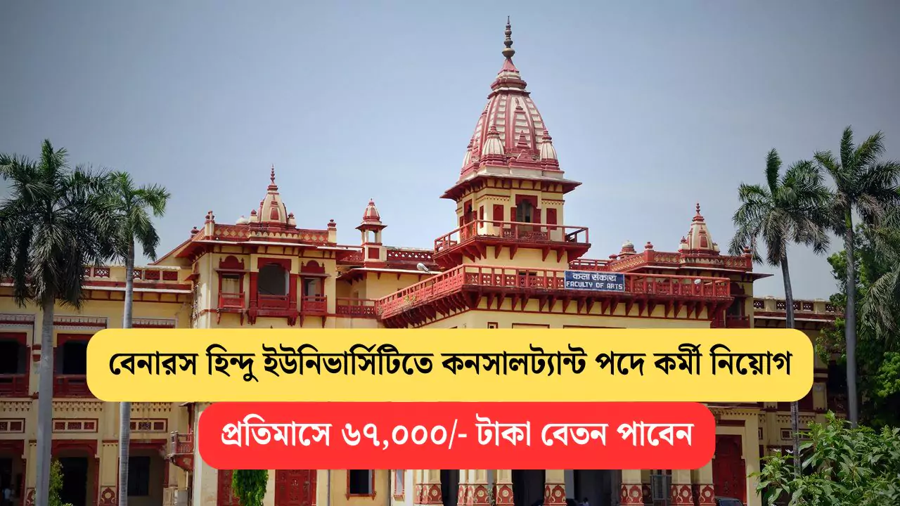 BHU Consultant Recruitment 2025