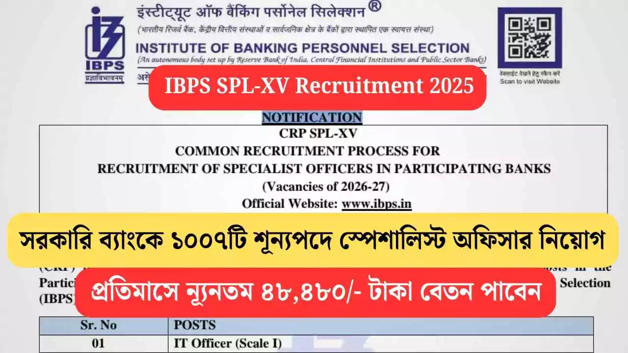 IBPS Recruitment 2025